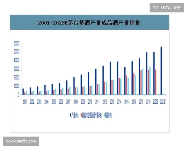 法甲总经理领导下的足球俱乐部发展战略与市场运作分析 法甲总经理领导下的足球俱乐部发展战略与市场运作分析